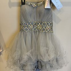 Quinceanera dress