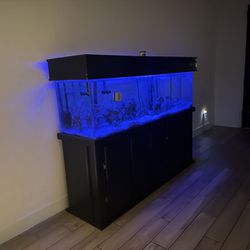 125 Gallon Fish Tank