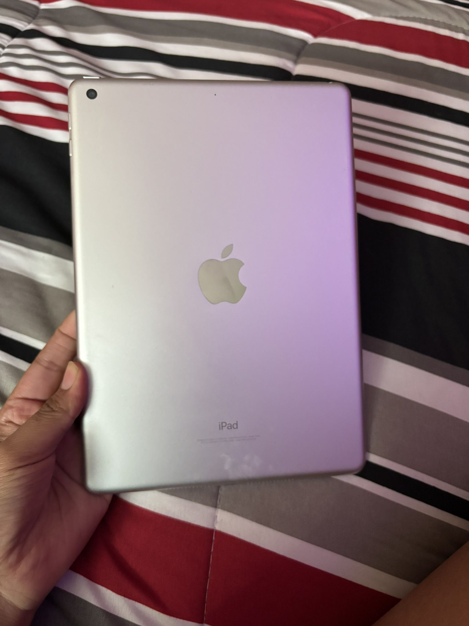 iPad