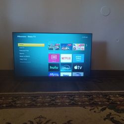 43 in Roku Tv