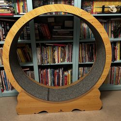 Cat Exercise Wheel, Used But Good Condition