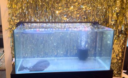 Rimless glass Aquarium plus stand