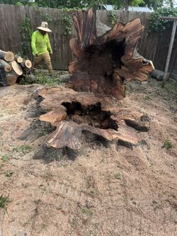 stump grinding