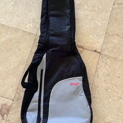 Acoustic Guitar Case