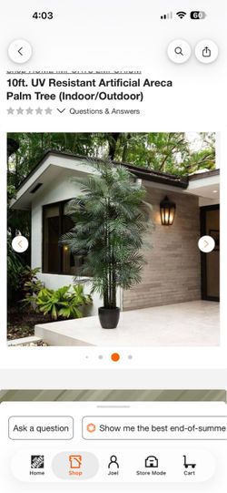 10 foot indoor outdoor palm treeNEW
