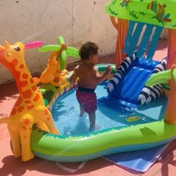 Animal Water Inflatable 