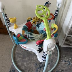 Baby Bouncer 