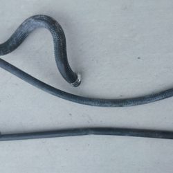 GM # 1(contact info removed) Coolant Hose Gates 22554 5.3 Chevy Truck Heater Hoses Quick Connect 