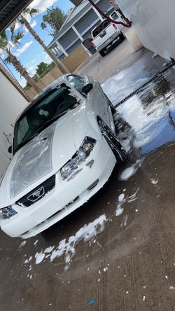 1999 Ford Mustang