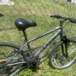 Huffy Bicycle      24”