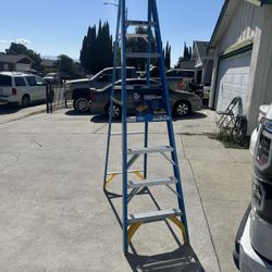 Werner 8 ft. Fiberglass Step Ladder (12 ft. Reach Height) with 250 lb. Load Capacity Type I Duty Rat