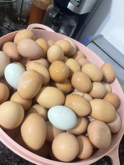 Huevos Frescos De Rancho