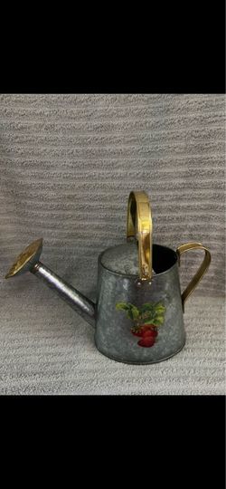 Galvanized Metal Watering Can 1 Gallon