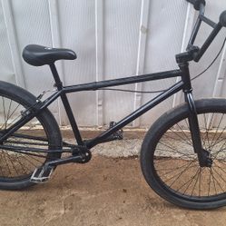 29" Fit Bike
