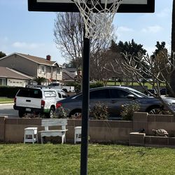 Basketball Hoop
