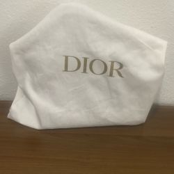 Christian Dior Hand Bag 