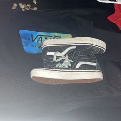 1Y Vans