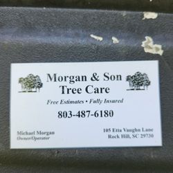 Affordable Tree Work and Stump Removal 