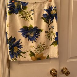 Skirt Size 4 