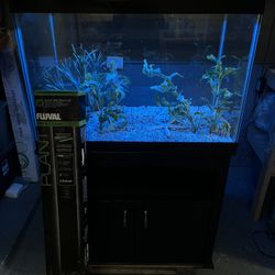 Fish Tank Ready To Go  75 Gal 