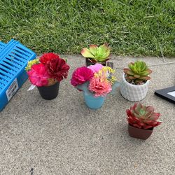 plants plastic basket