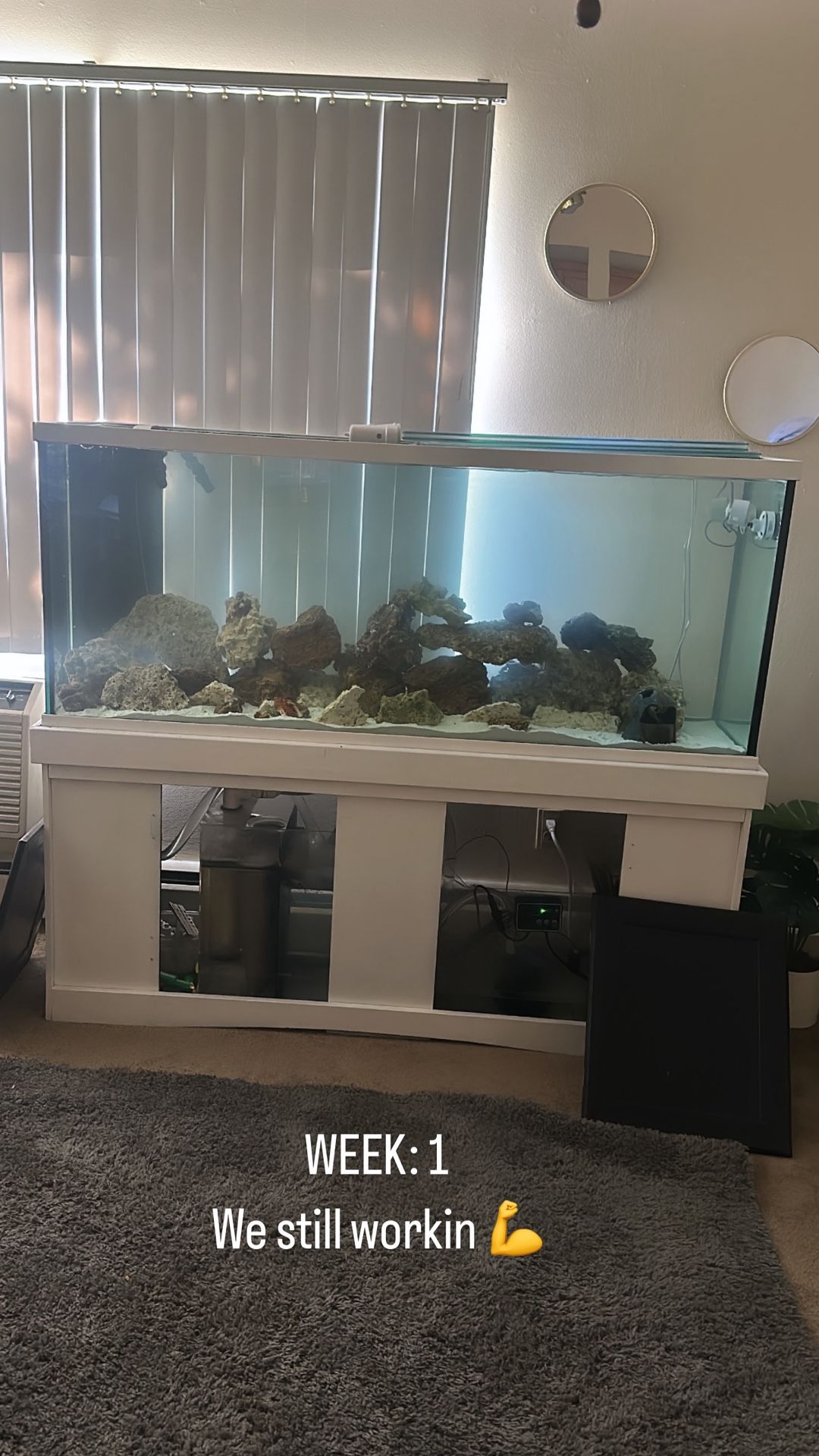 120 Reef Tank