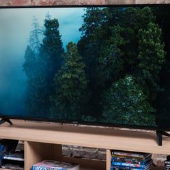 55 Inch VIZIO SMART TV W/REMOTE  $80