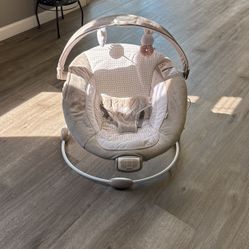 Baby Bouncer
