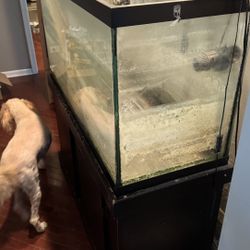 90 Gal Fresh Water Tank With Fx4 Pump! 