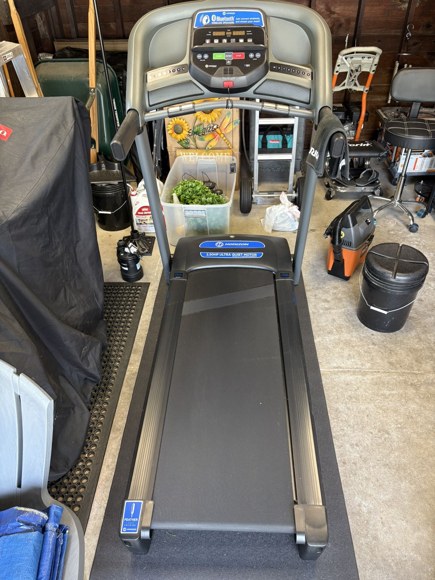 Horizon Fitness T101 Folding Treadmill
