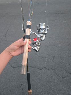 Diawa exceler 1000