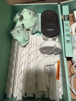 Owlet duo
