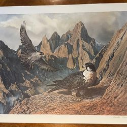 Charles Gause Lithograph Falcons Flight 21x27