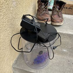 Fish Tank 