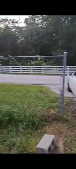 Todos Los Papeles En Orden 