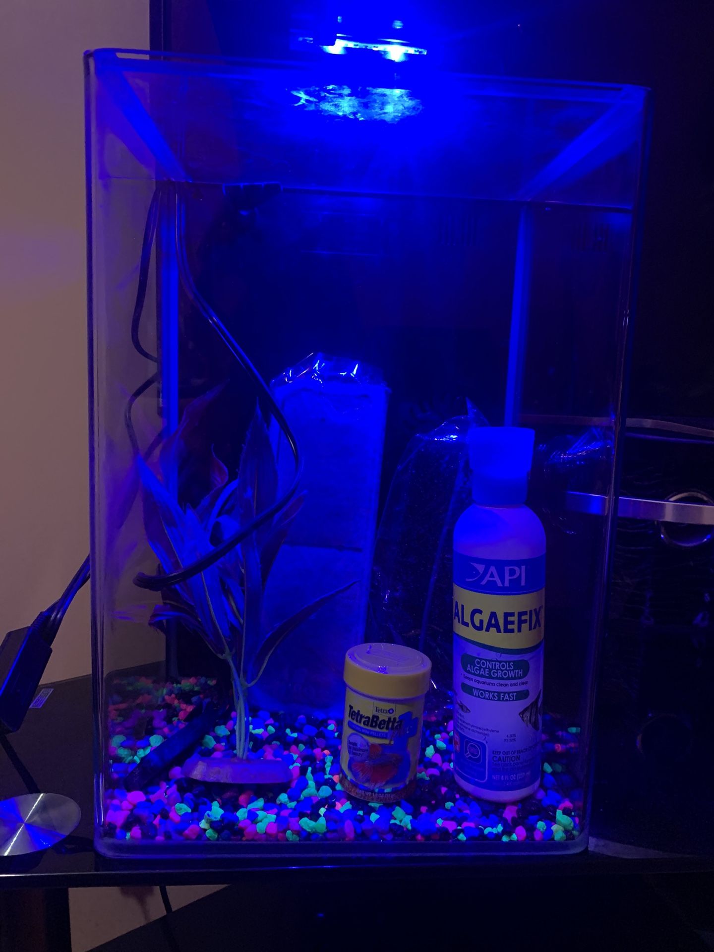 Glow Fish Tank