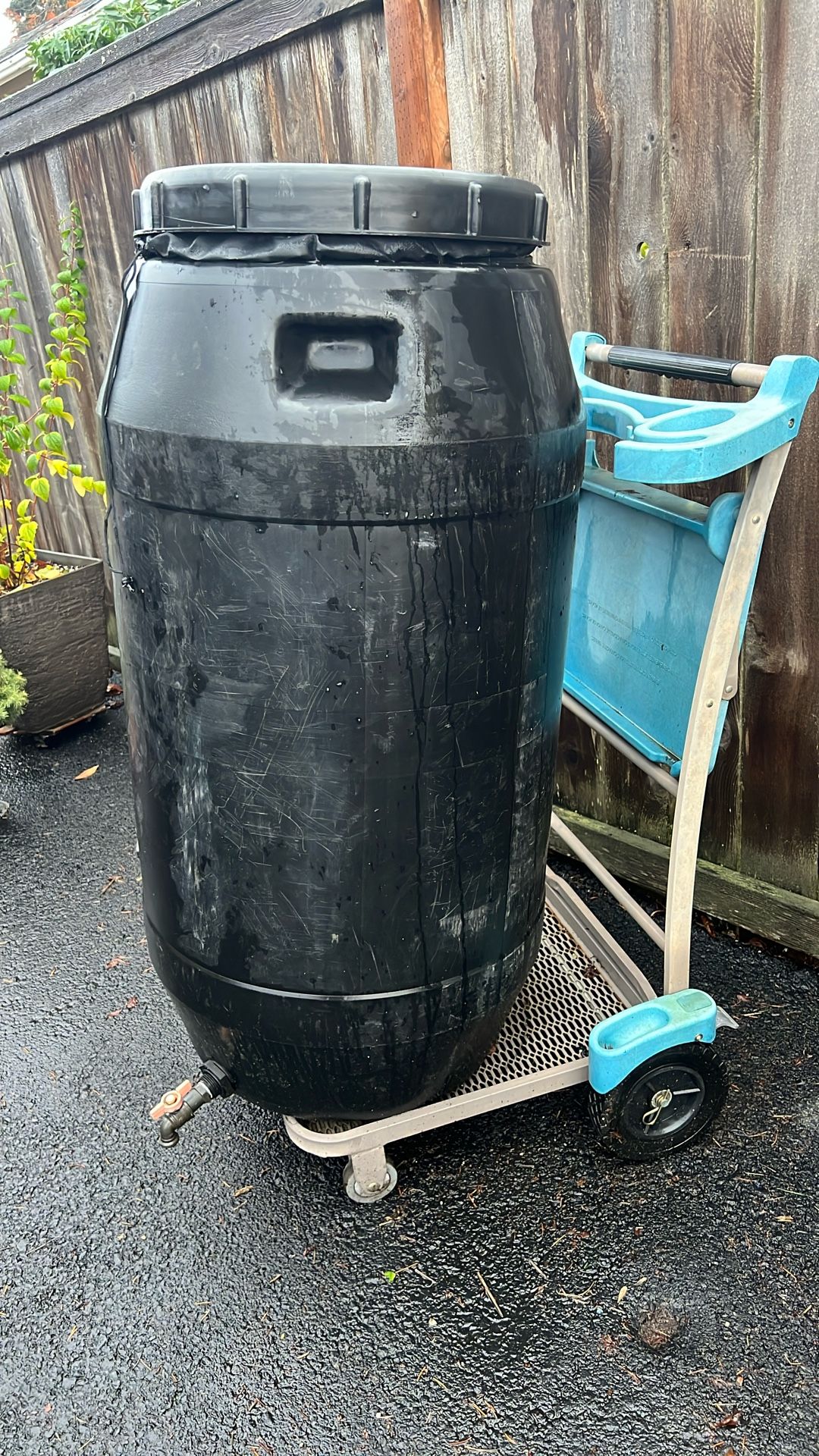 Rain/water Barrel
