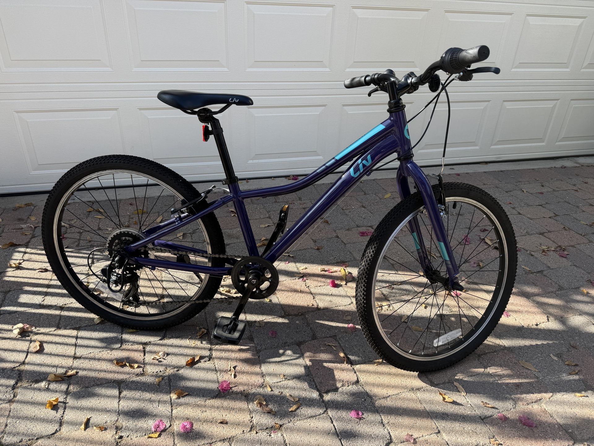 Girls Liv Enchant 24 bike (Giant)
