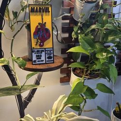 Marvel Spider-Man Comic Plaque
