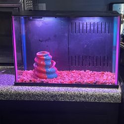 Top Fin Starter Aquarium 