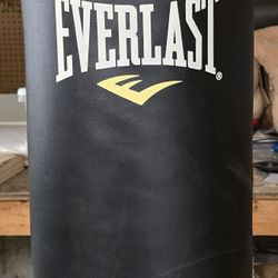 Punching Bag