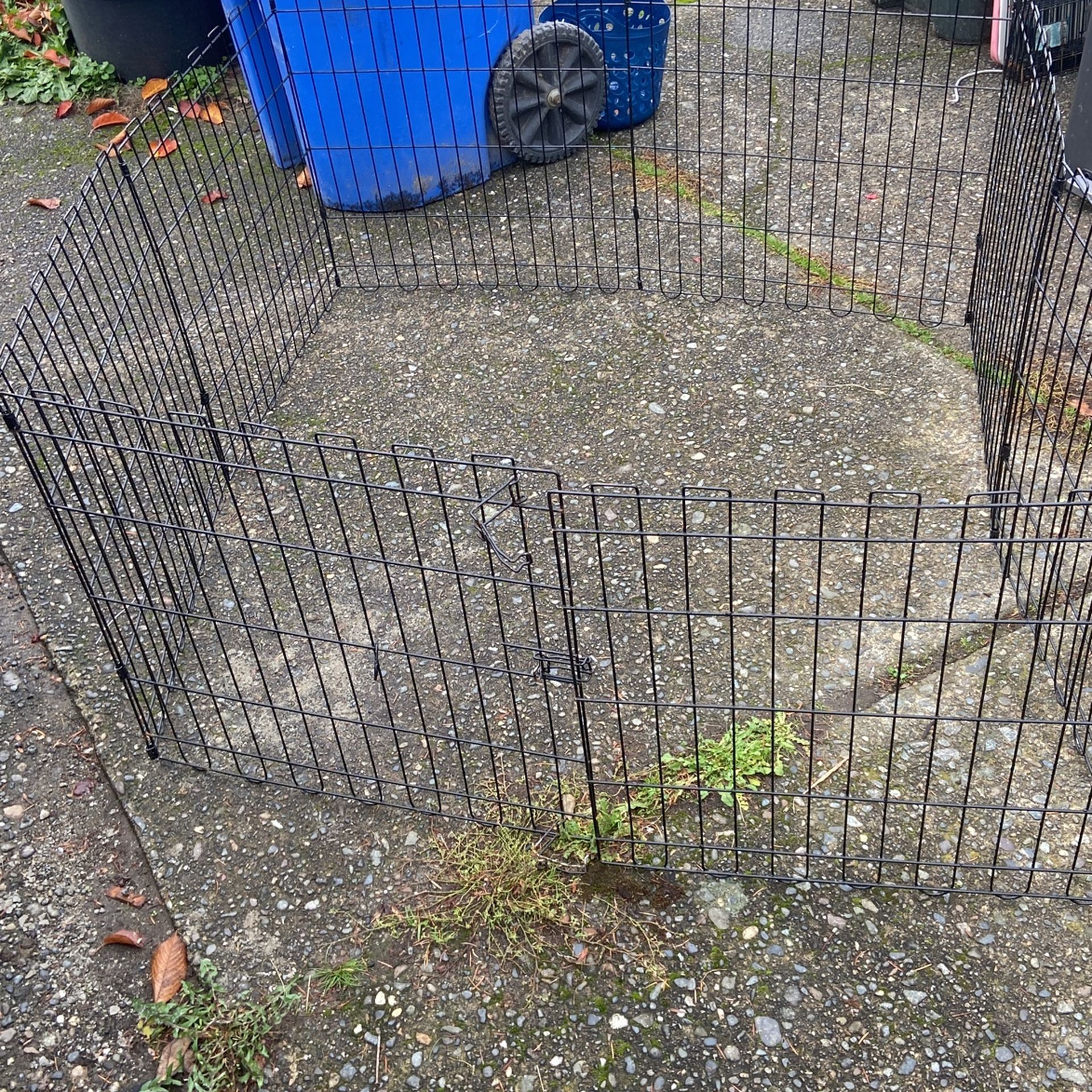 Pet Fence 48 X 48 Height 24 Inch Price 25$. Pick Up. E. Side. Tacoma