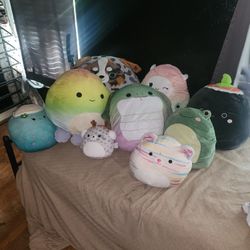 Squishmallows 