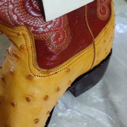 Botas Avestruz 