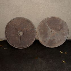 45LB Weights