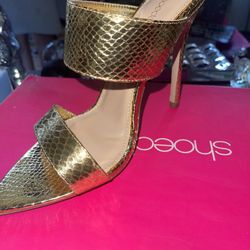 Snake Skin 
