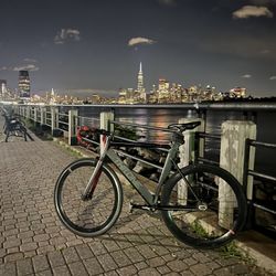 CUSOME THRONE FIXIE BIKE CARBON FIBER FORK