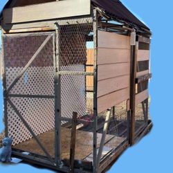 On Sale!!!Walked In Big Cage Only For$200.00