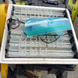 Little Giant Egg Incubator
