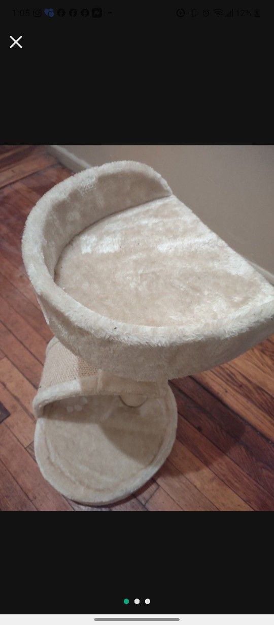 Cat Lounge